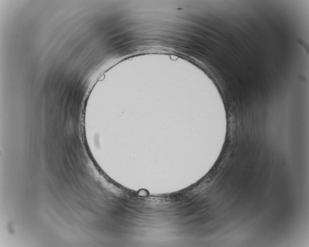 X0000103461379200810240939