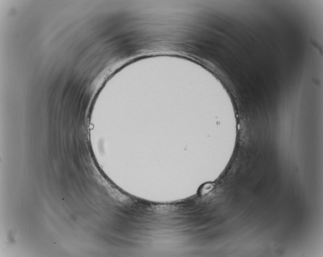 X0000103461380200810240939