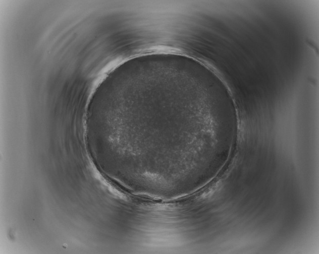 X0000103461381200810240939