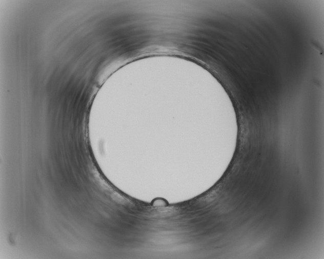 X0000103461382200810240939