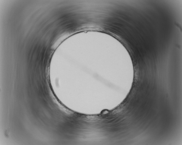 X0000103461383200810240939