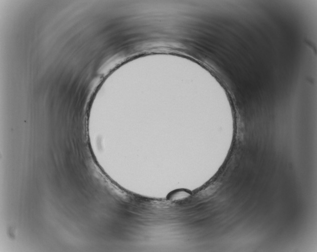 X0000103461384200810240939