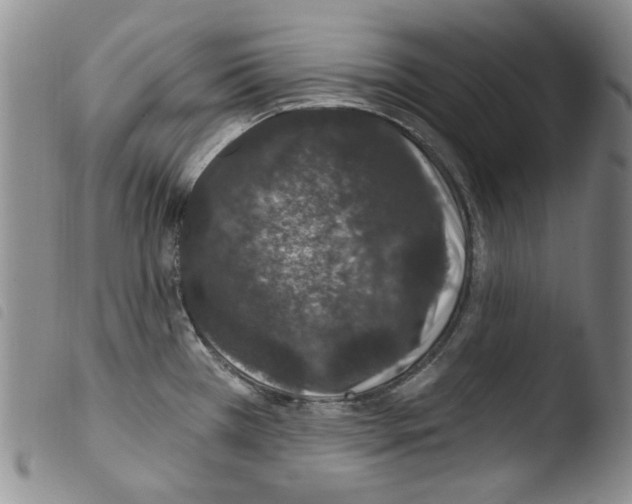 X0000103461385200810240939