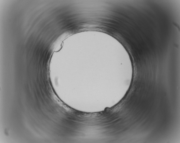X0000103461386200810240939