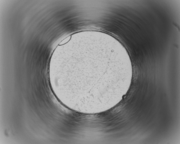 X0000103461387200810240939