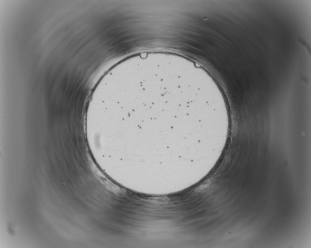 X0000103461388200810240939