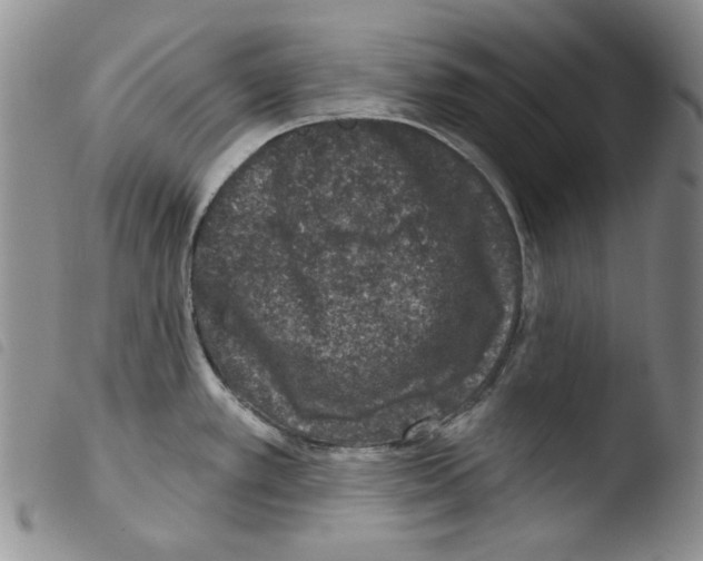 X0000103461389200810240939