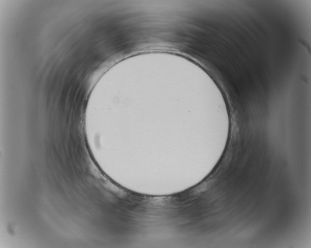 X0000103461390200810240939
