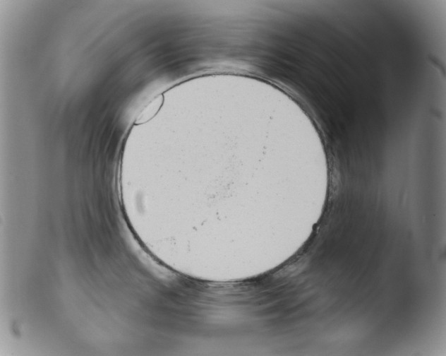 X0000103461391200810240939