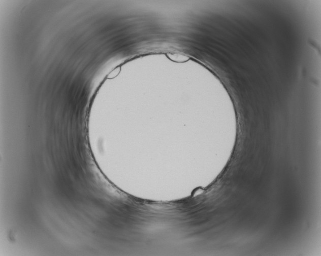 X0000103461392200810240939