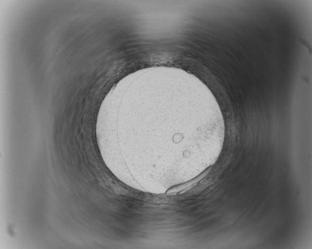 X0000103461393200810240938