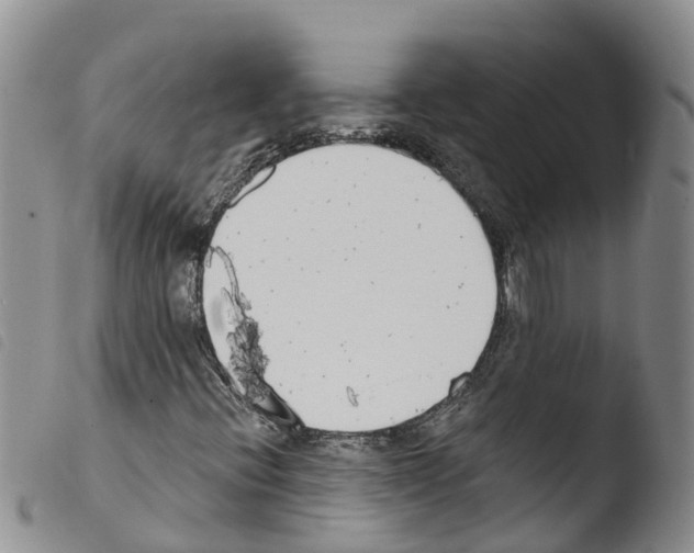 X0000103461396200810240938
