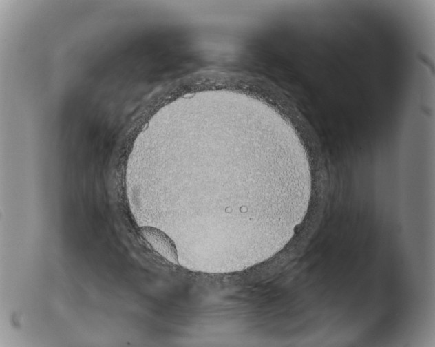X0000103461397200810240938