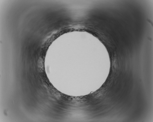X0000103461398200810240938