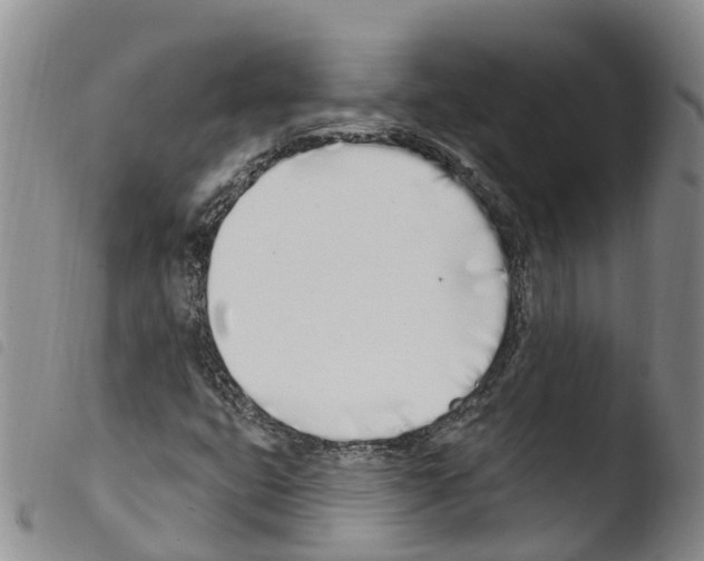 X0000103461399200810240938