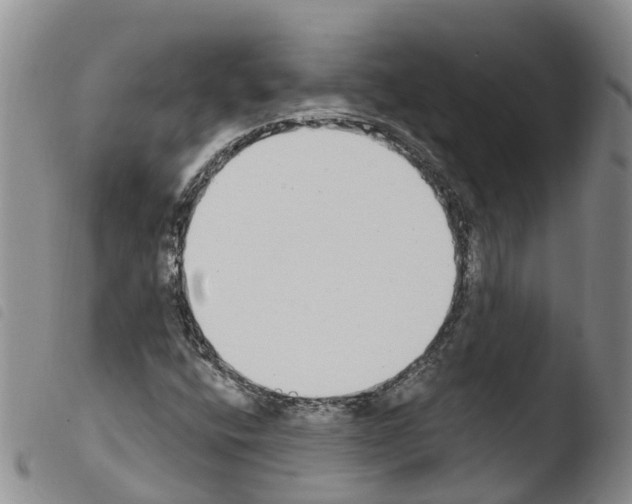 X0000103461400200810240938