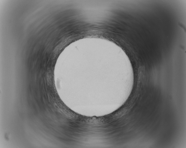 X0000103461401200810240938