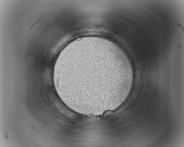 X0000103461403200810240938