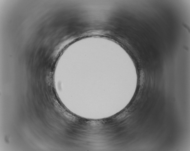 X0000103461404200810240938