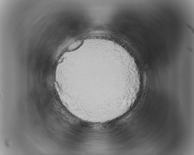 X0000103461405200810240938