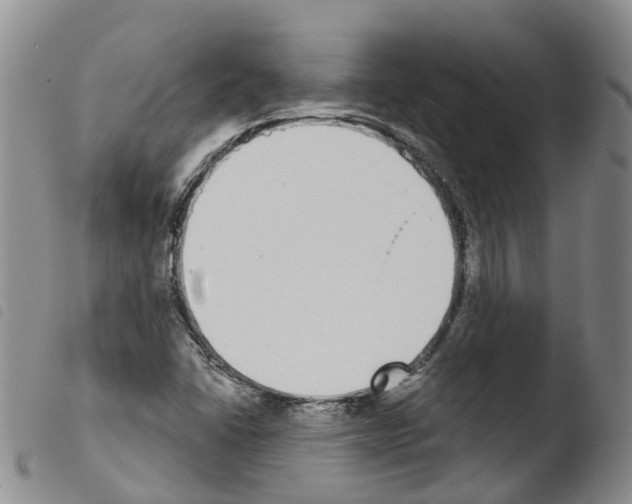 X0000103461406200810240938