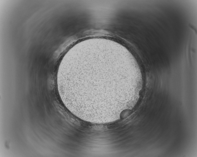 X0000103461407200810240938