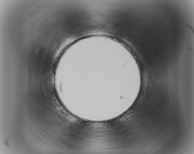 X0000103461408200810240938