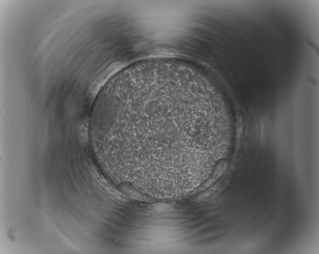 X0000103461409200810240938