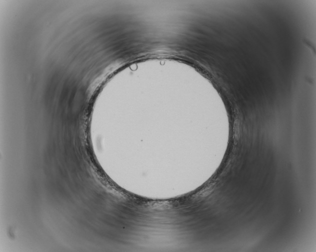 X0000103461410200810240938