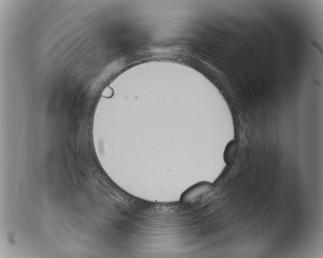X0000103461411200810240938