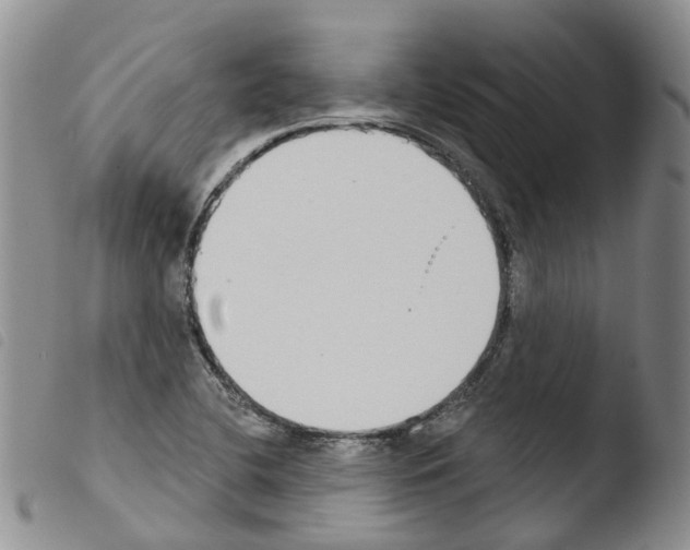 X0000103461412200810240938