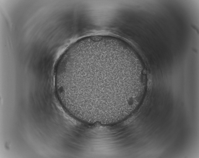 X0000103461414200810240938