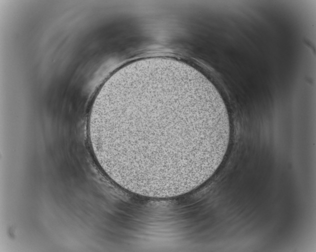 X0000103461415200810240938