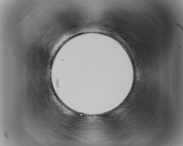 X0000103461416200810240938