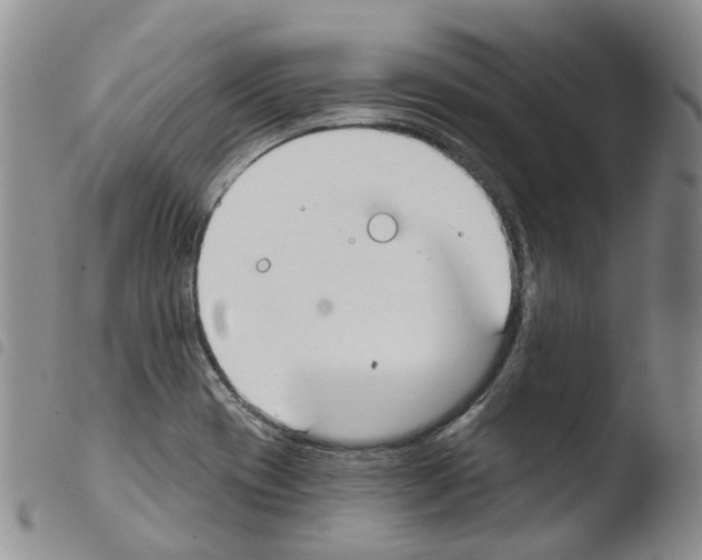 X0000103461417200810240938