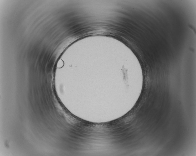X0000103461418200810240938