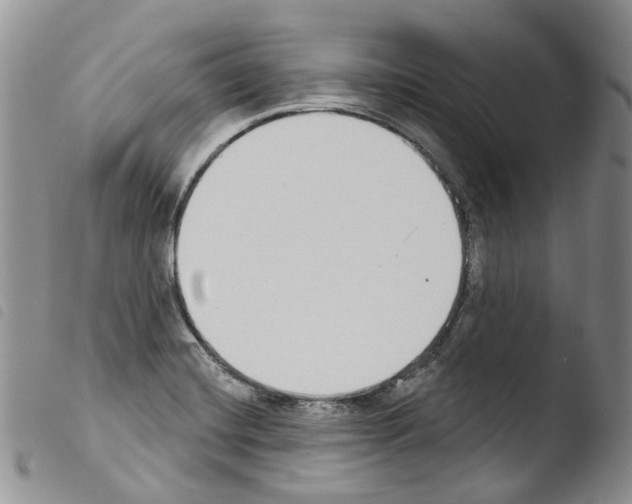 X0000103461420200810240938