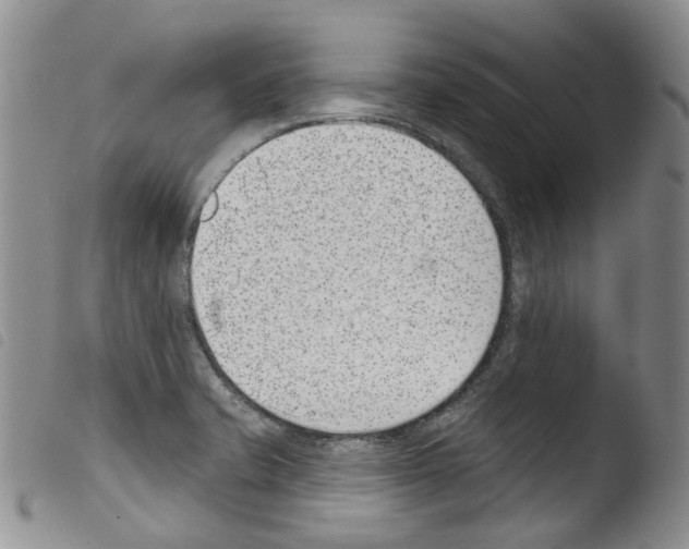 X0000103461421200810240938