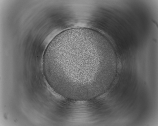 X0000103461423200810240938