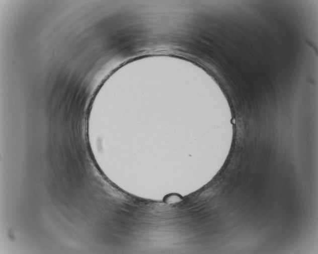 X0000103461424200810240938