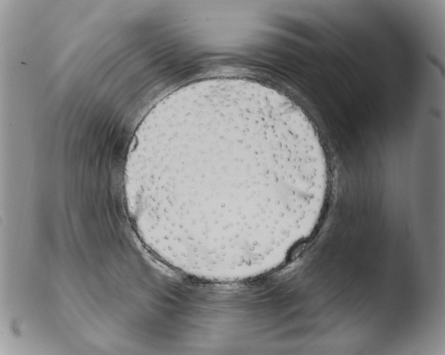 X0000103461425200810240938