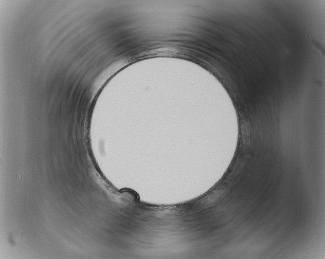 X0000103461426200810240938