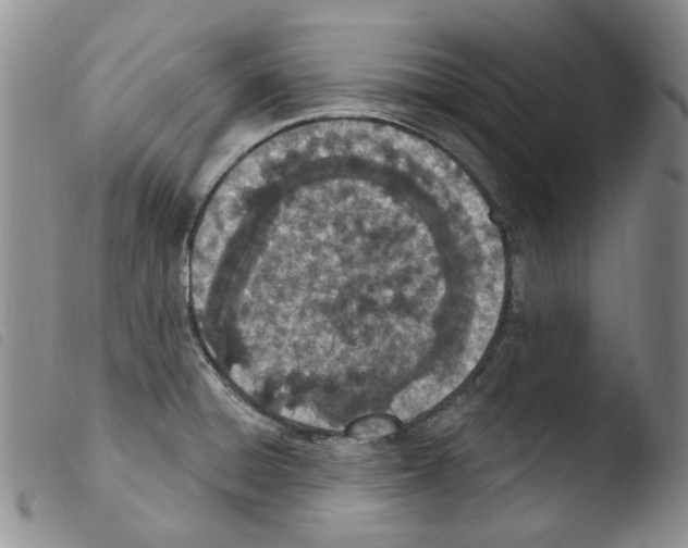 X0000103461428200810240939