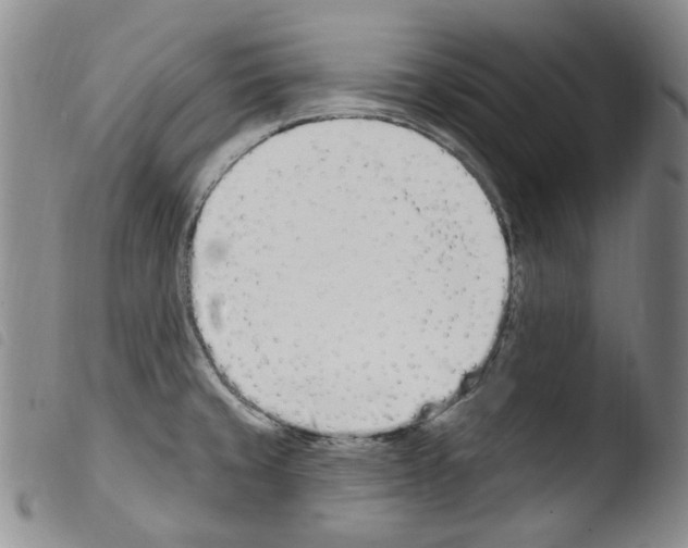 X0000103461429200810240939