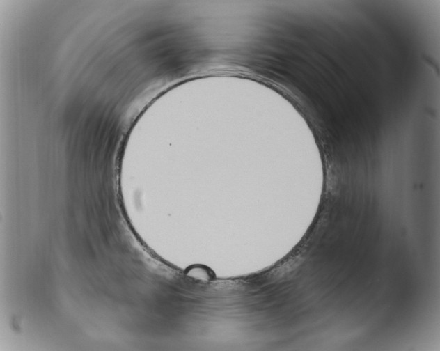 X0000103461430200810240939