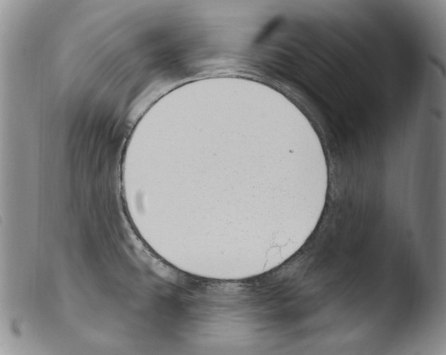 X0000103461431200810240939