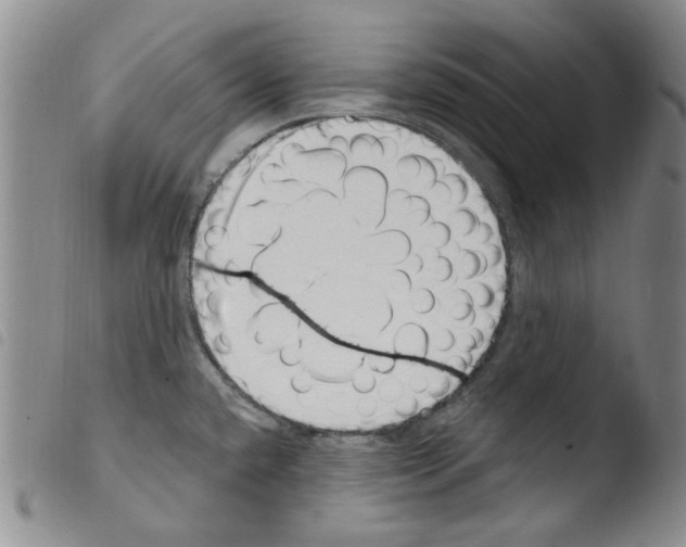 X0000103461432200810240939