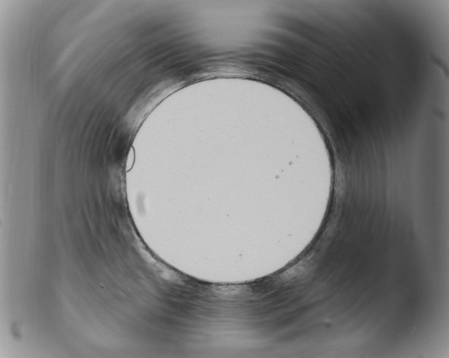 X0000103461433200810240939
