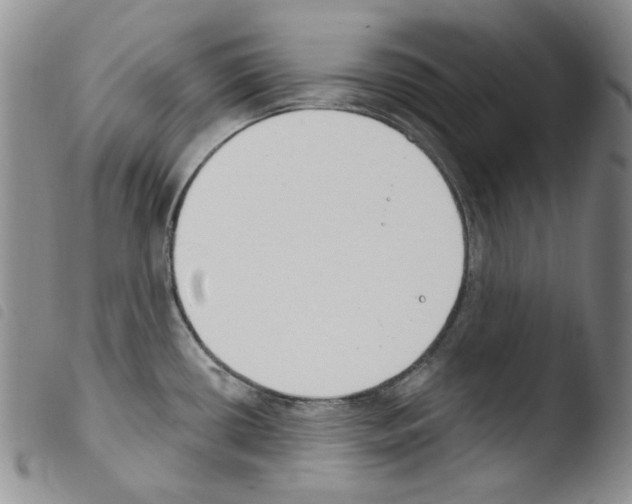 X0000103461434200810240939