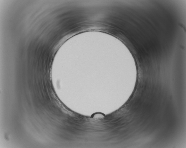 X0000103461436200810240939